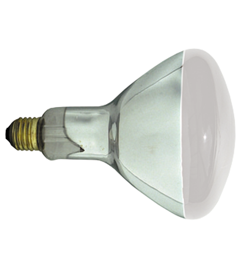 Product #161