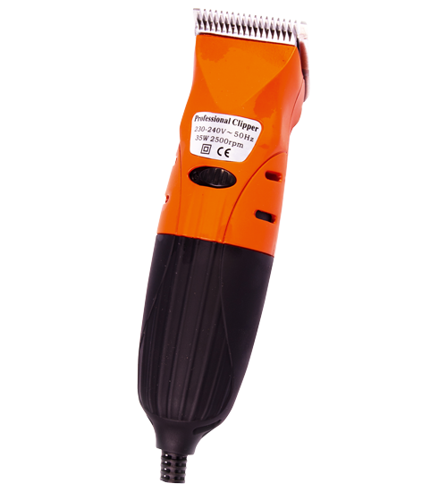 Product #31