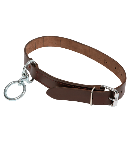 Product #37